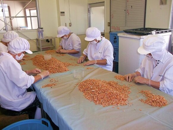 チェックと選別